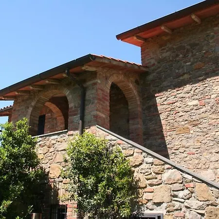 L'ortensia Daire Cibottola